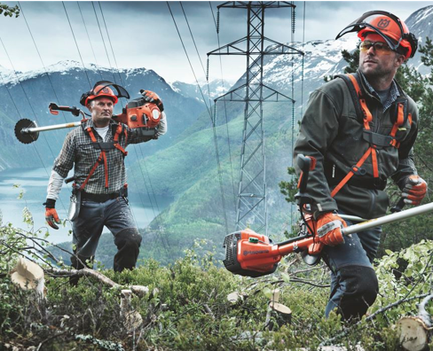 Röjning av skog – Utbildning